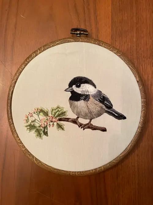Chickadee