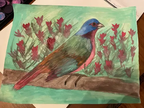 Painted Bunting