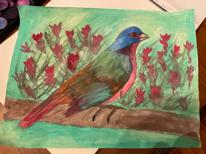 Painted Bunting